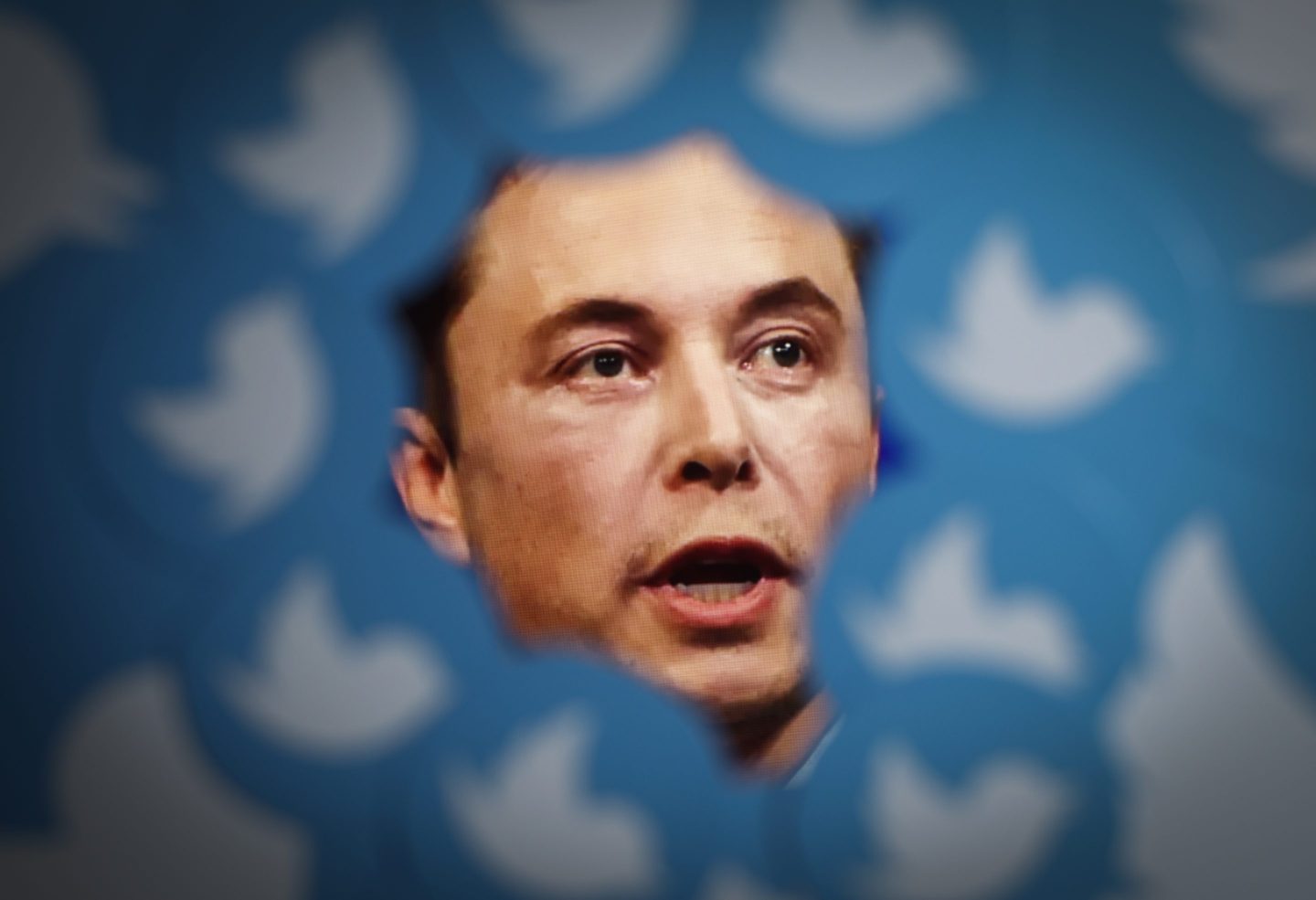 Elon Musk Twitter logo