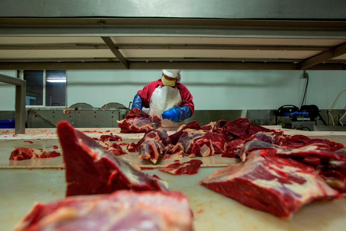 The tip of the slaughterhouse iceberg? Labor Department accuses massive industrial firm of using dozens of kids as young as 13 to clean meat processing plants