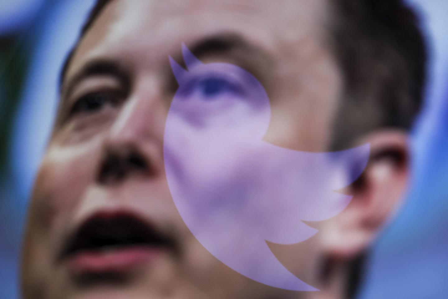 Elon Musk and Twitter logo