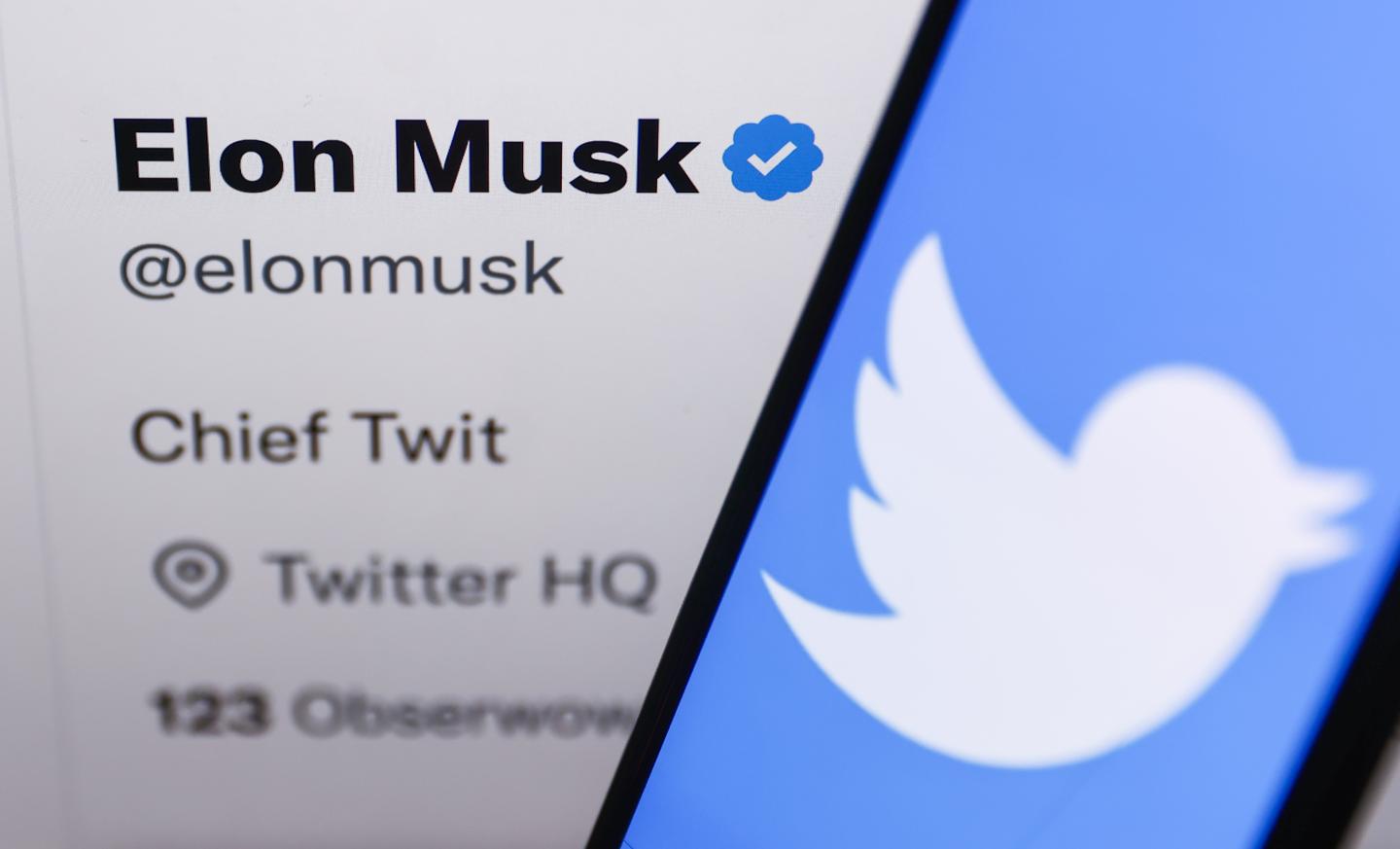 Twitter’s ‘official’ gray checks are back again—after being introduced and cancelled once this week