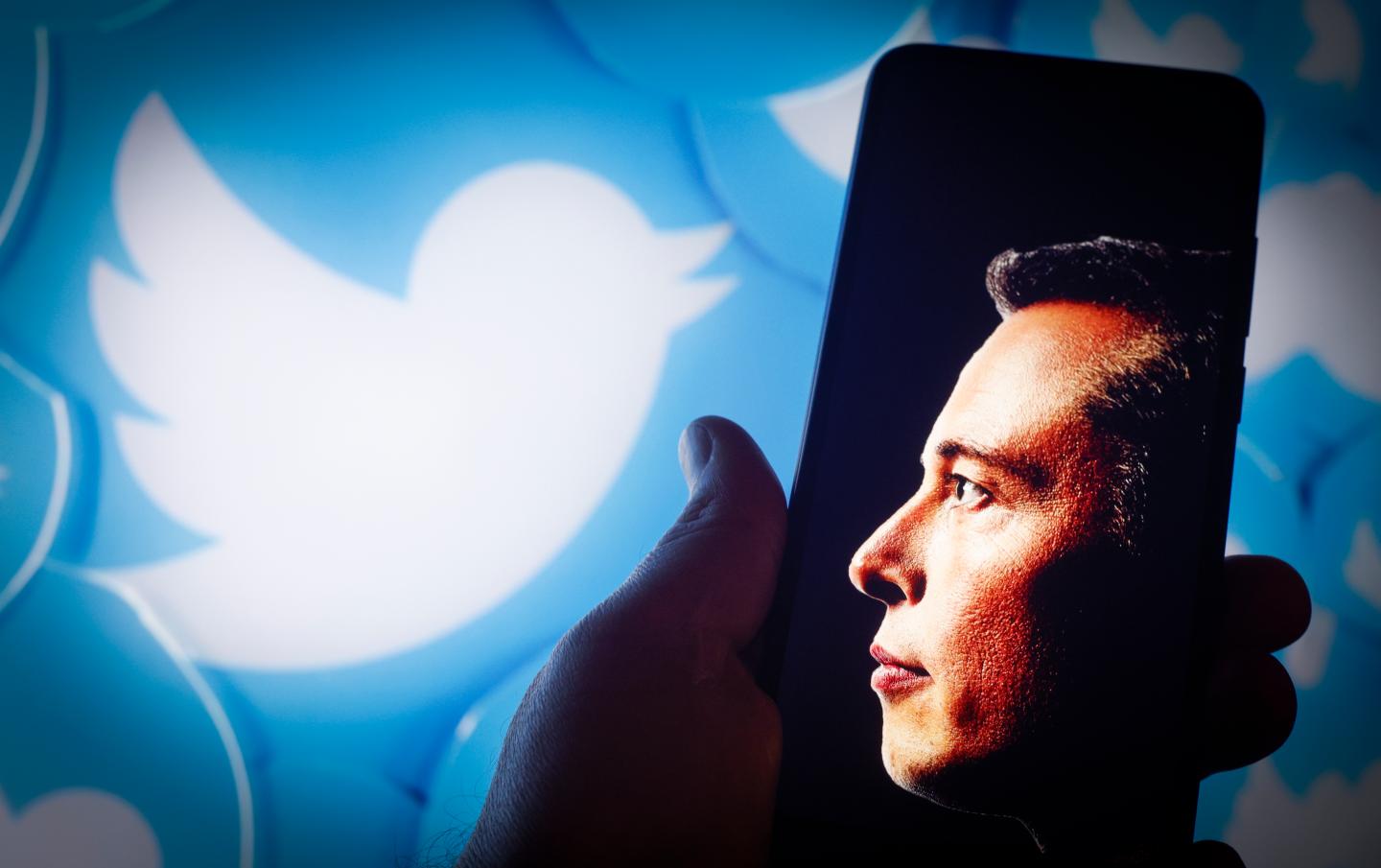 Elon Musk's loss may be someone else's gain, as companies outside the tech industry look to finally recruit sorely needed software talent let go in mass layoffs.