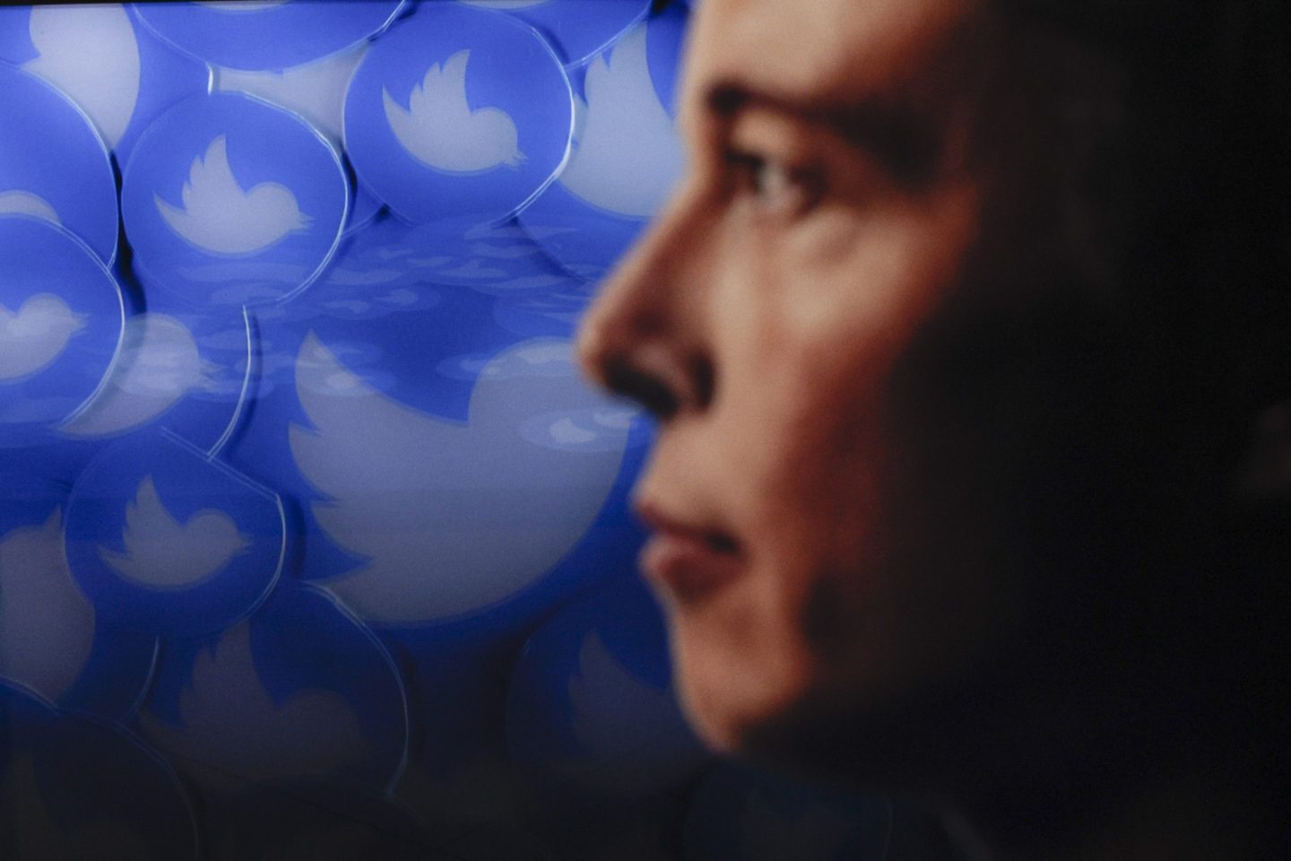 Musk asked his users about reinstating suspended accounts. Nearly three-fourths of votes favored doing so.