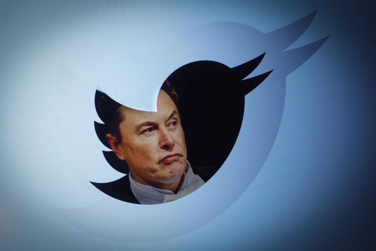 Twitter owner Elon Musk is seen with a Twitter logo