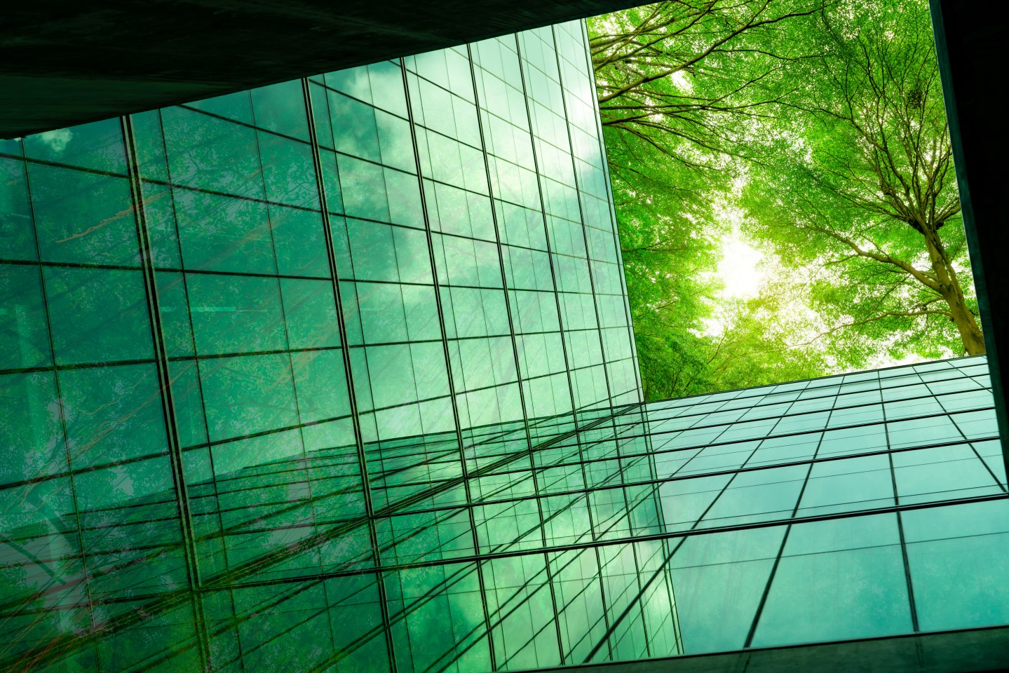 There has been a seismic shift in corporate sustainability efforts to emphasize carbon reduction, but the path to net zero is still easier said than done.