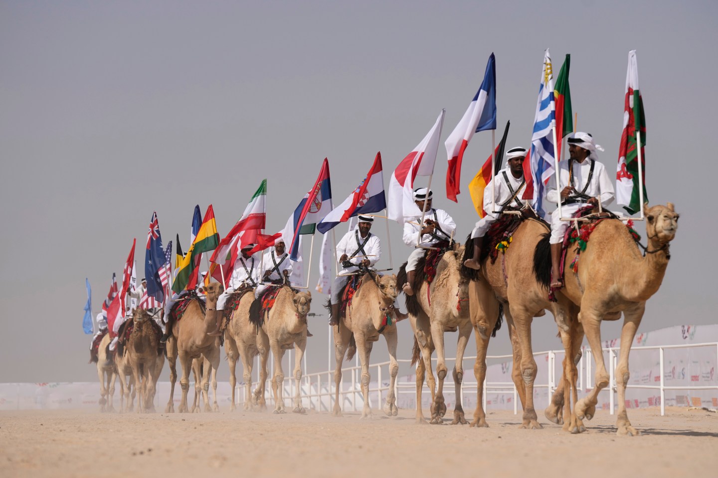 Camel pageant