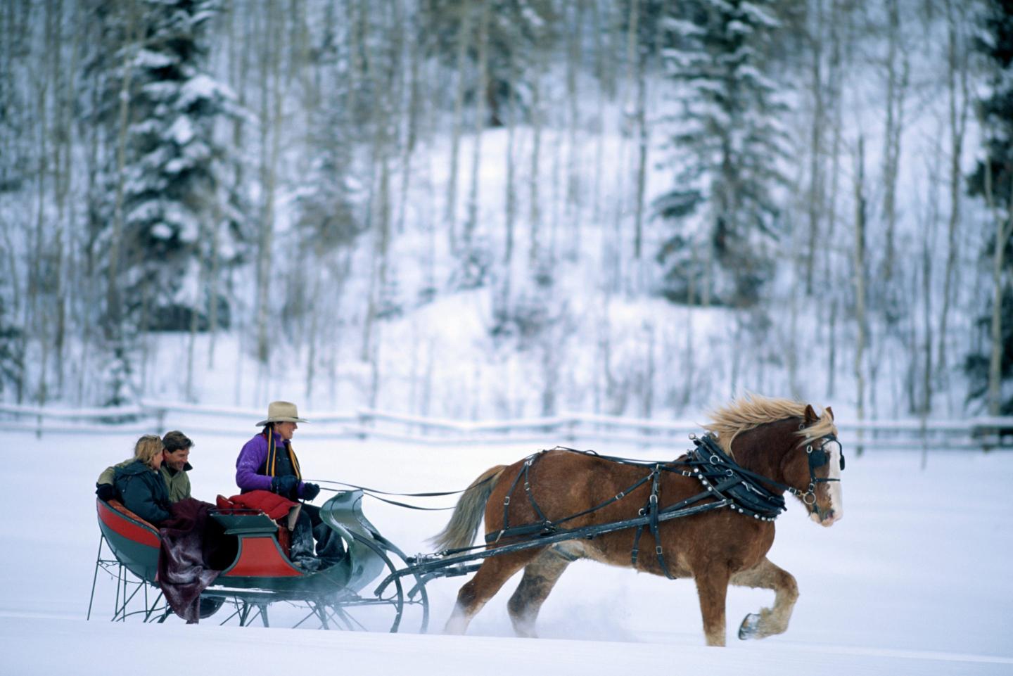 Your next Uber could be a free reindeer sleigh ride. Here’s how to book it