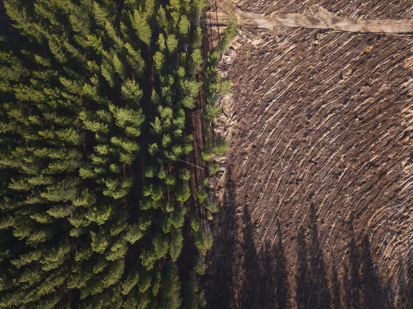 ESG investing faces challenges from all sides. Can it survive?