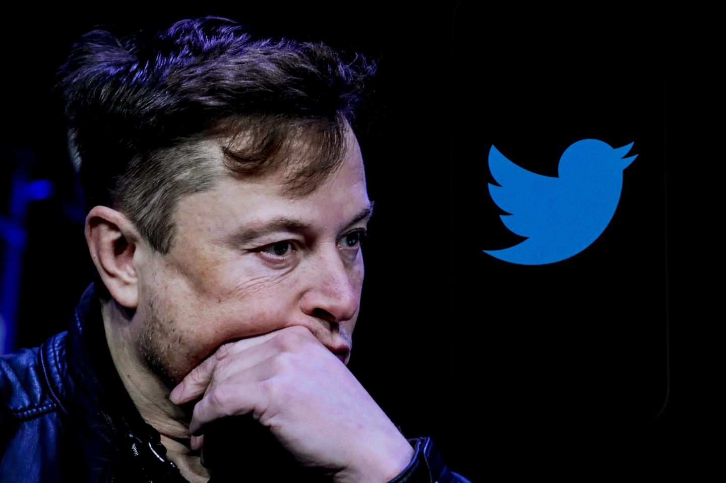 Elon Musk next to the Twitter logo.