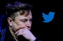 Elon Musk next to the Twitter logo.
