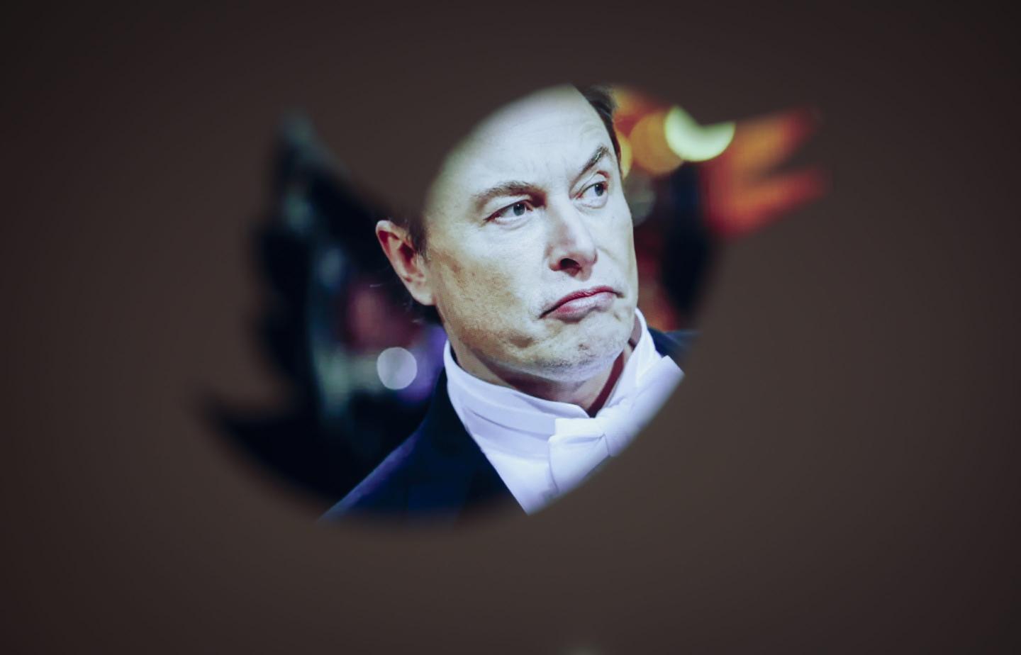 Elon Musk and a Twitter logo are seen in this illustration photo