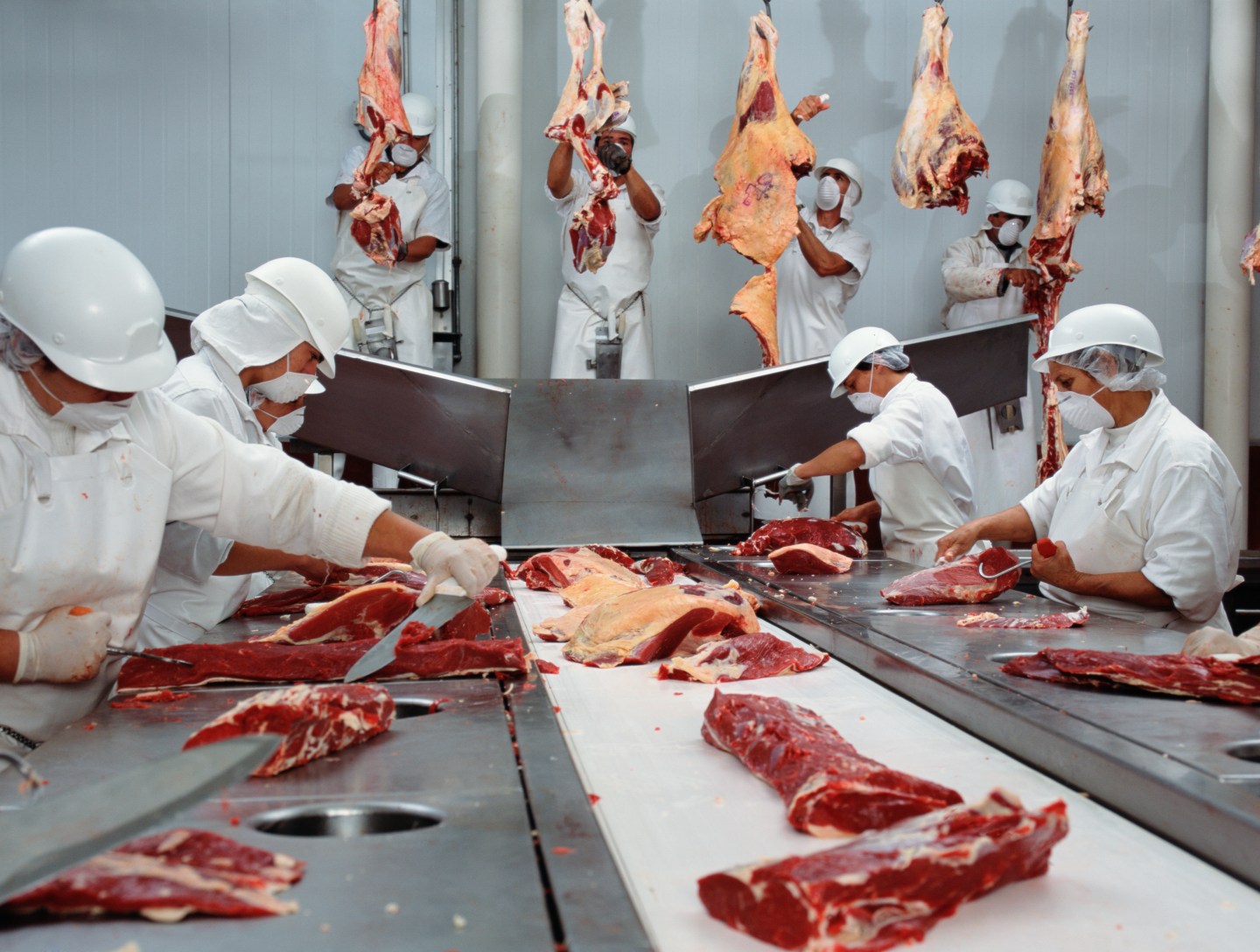 Butchers cutting beef in slaughterhouse, wearing hygienic masks - stock photo