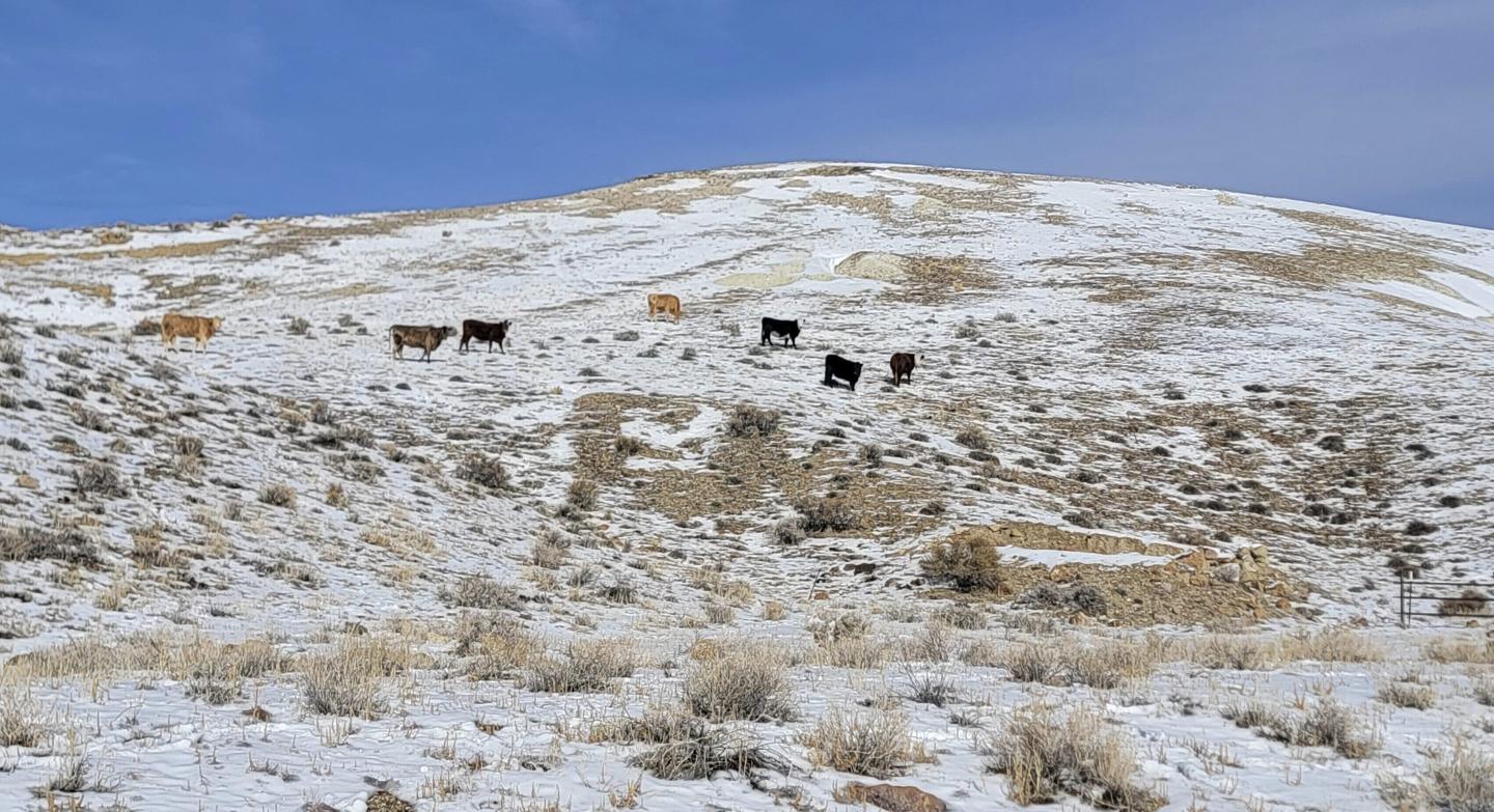 Nevada lithium site that could support production of 370,000 electric vehicles annually for decades gets boost with $700M government loan
