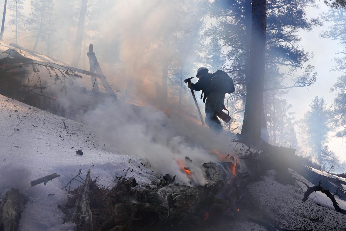 Wildfires