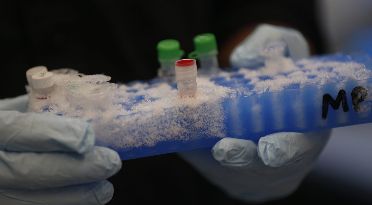 A professor holds a rack of test tubes containing DNA