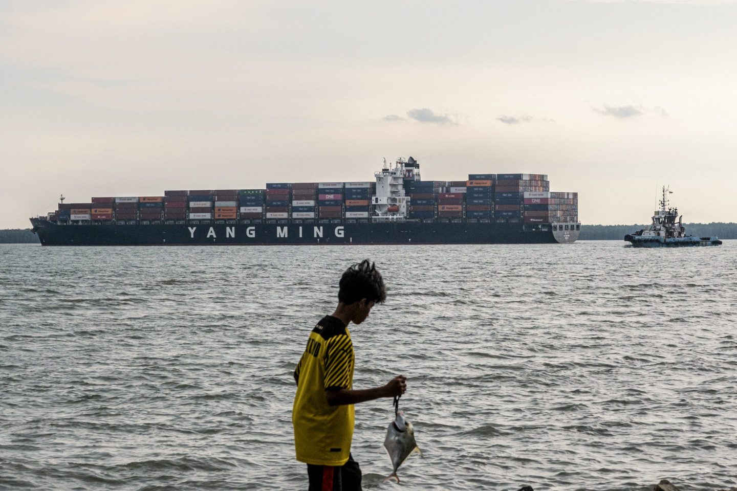 The world is interconnected, with every major region relying on imports for a large percentage of the goods and resources it needs.