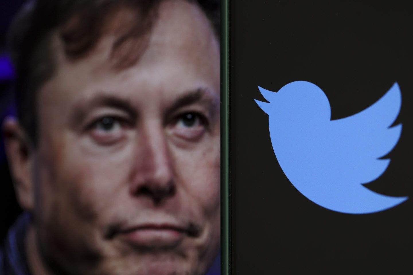 Elon Musk isn't done eliminating jobs at Twitter.