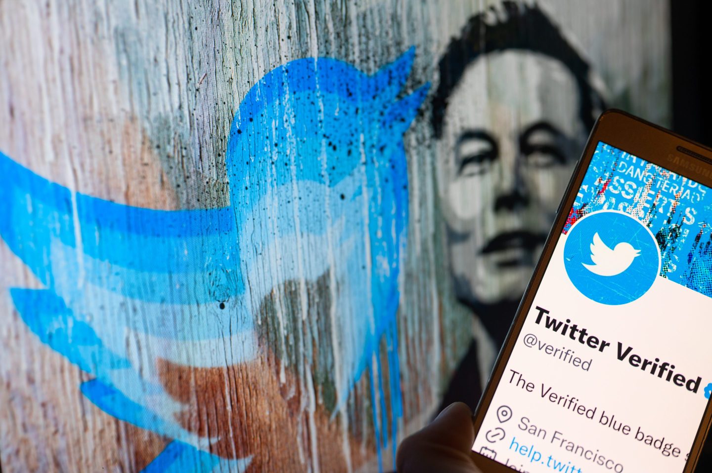 Elon Musk is betting Twitter users will pay more for an ad-free experience.