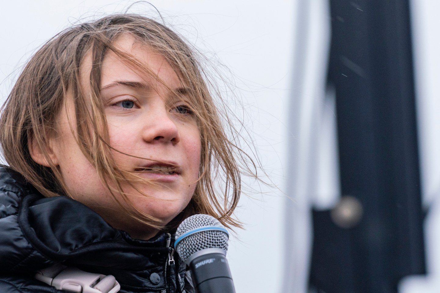 Greta Thunberg came to Germany to prevent a community from being flattened to make way for brown coal strip mine under corporate plans. Police eventually evicted her by force..