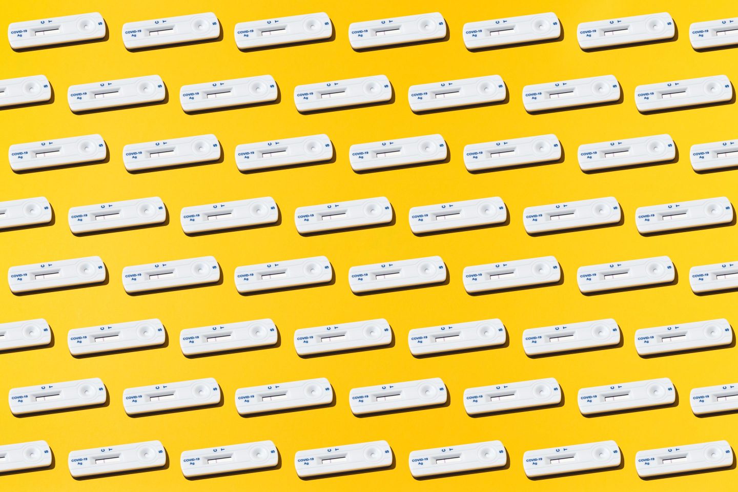 COVID rapid flow tests