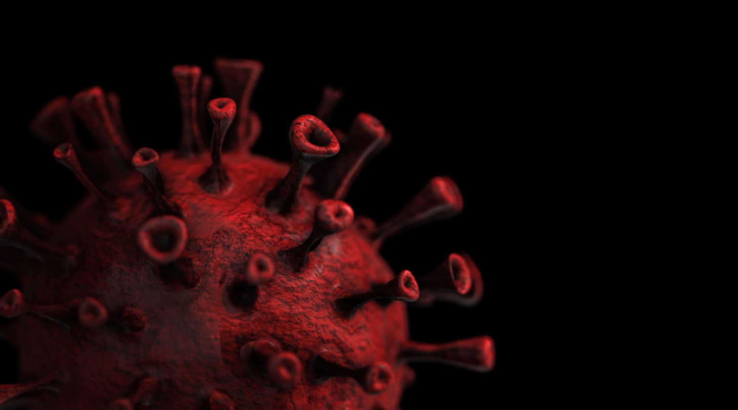 ‘Kraken,’ the ‘most transmissible’ COVID variant yet, could spawn even more immune-evasive variants, new study says