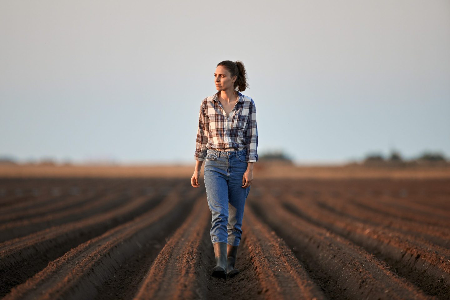 Young farmer walking in field at sunset.