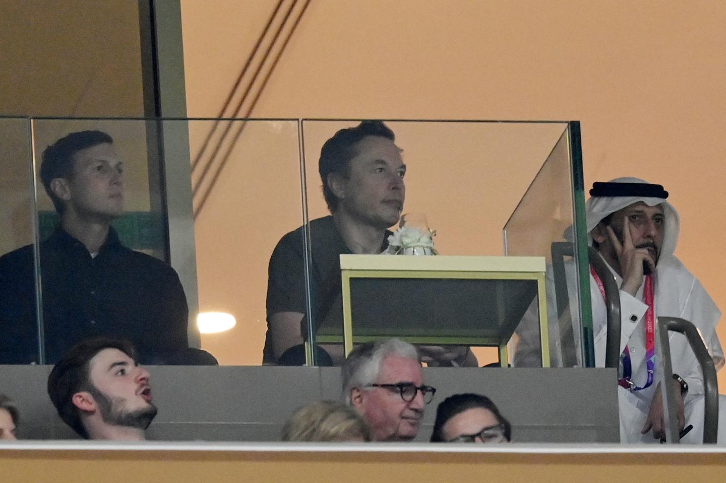 Jared Kushner and Elon Musk
