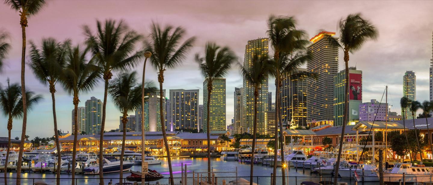 Miami at sunset