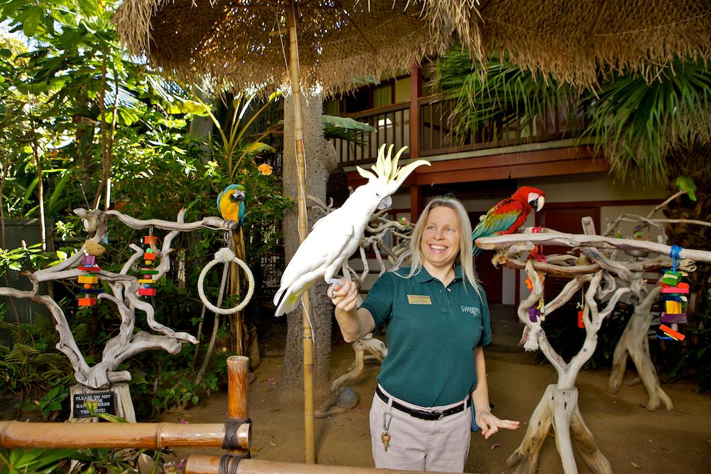 Meet a California woman with a job that’s literally for the birds. She could be handling the parrot on your next resort trip.