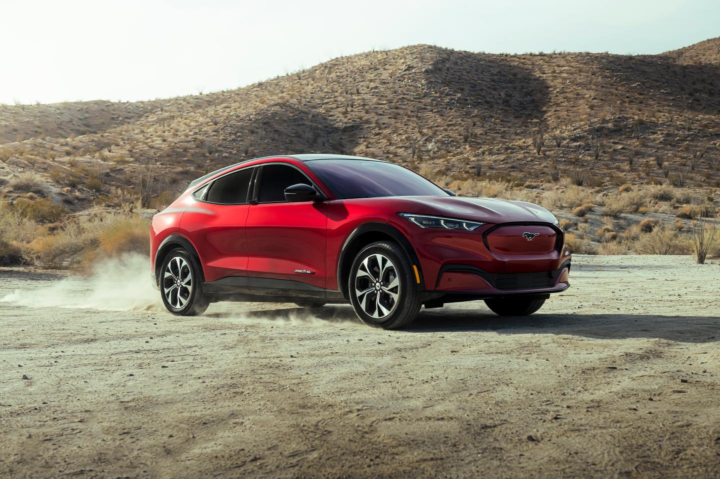 The end of the EV premium? Deflation hits auto industry as Ford ups stakes in electric car price war with Tesla