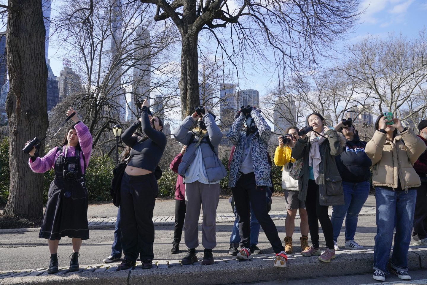 Central Park bird watchers