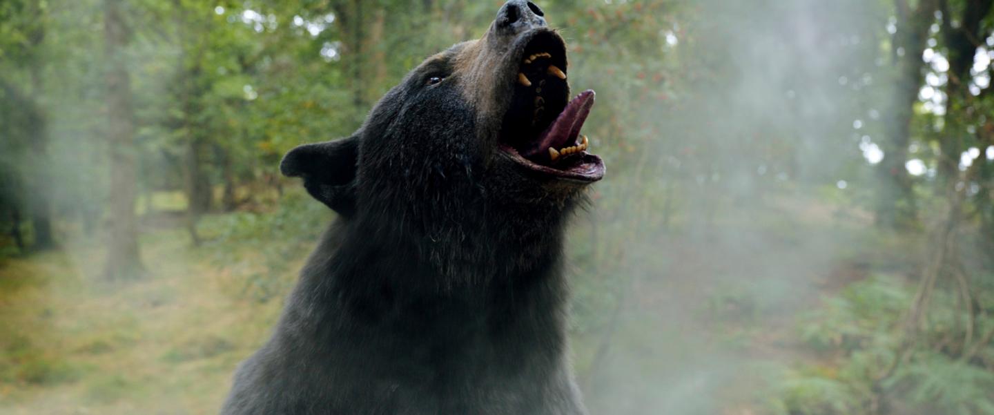 ‘Cocaine Bear’ has big opening weekend after made-to-go-viral trailer rampages through social media