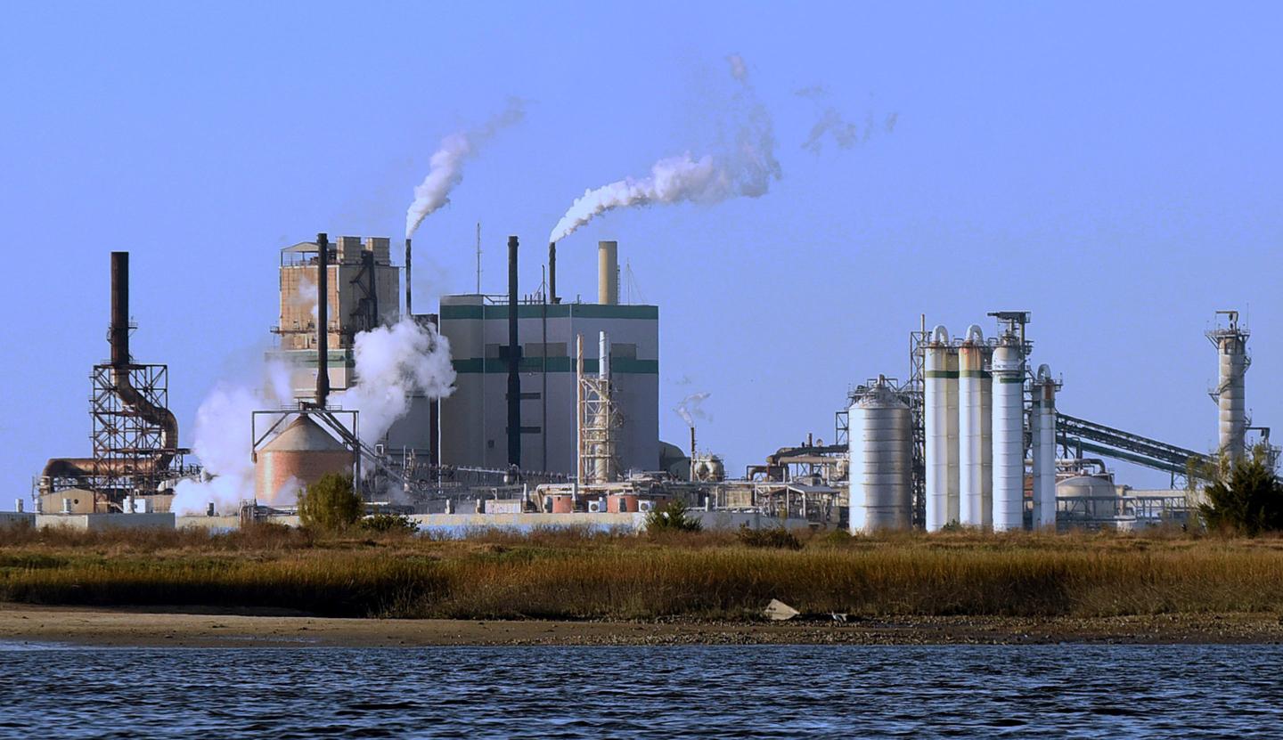 The Georgia-Pacific pulp and paper mill.
