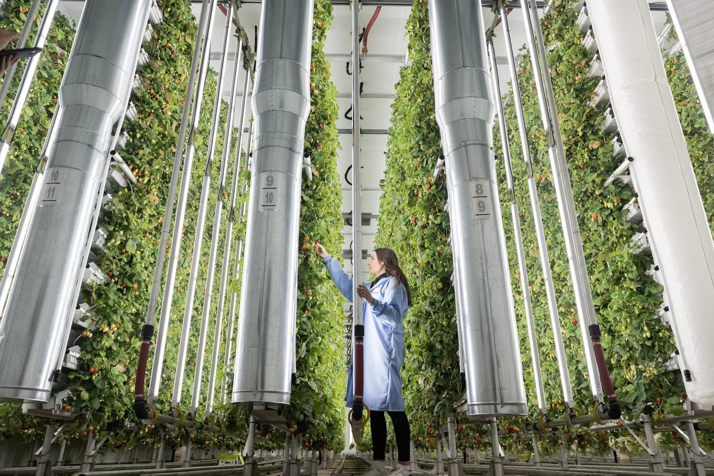 A new agricultural revolution has started. Congress must invest now to secure the future of U.S. food