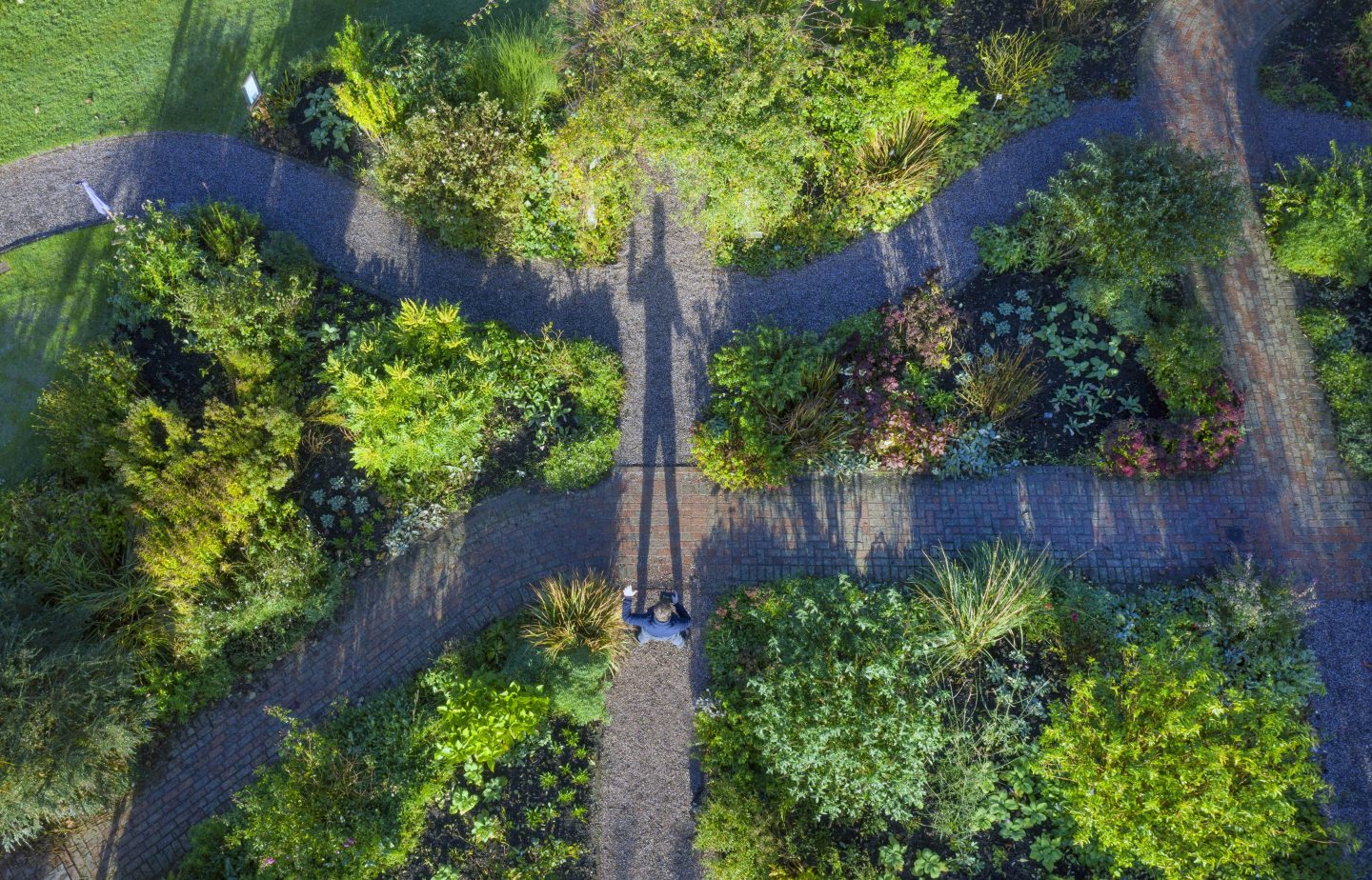 Impact can be the defining purpose of a startup.