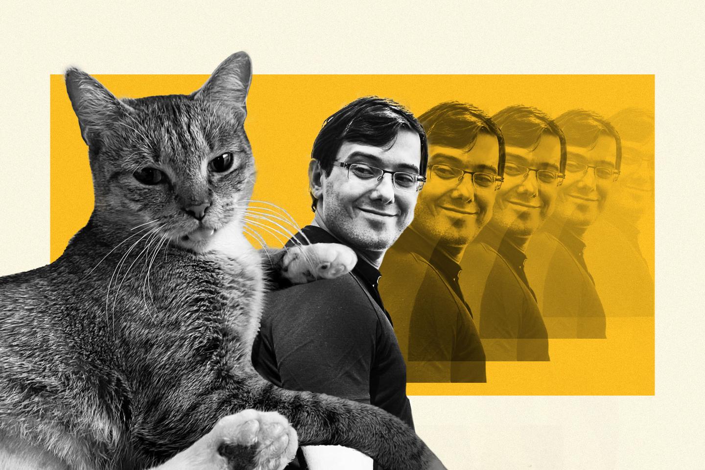 A black-and-gray cat is juxtaposed with repeated photos of Martin Shkreli.