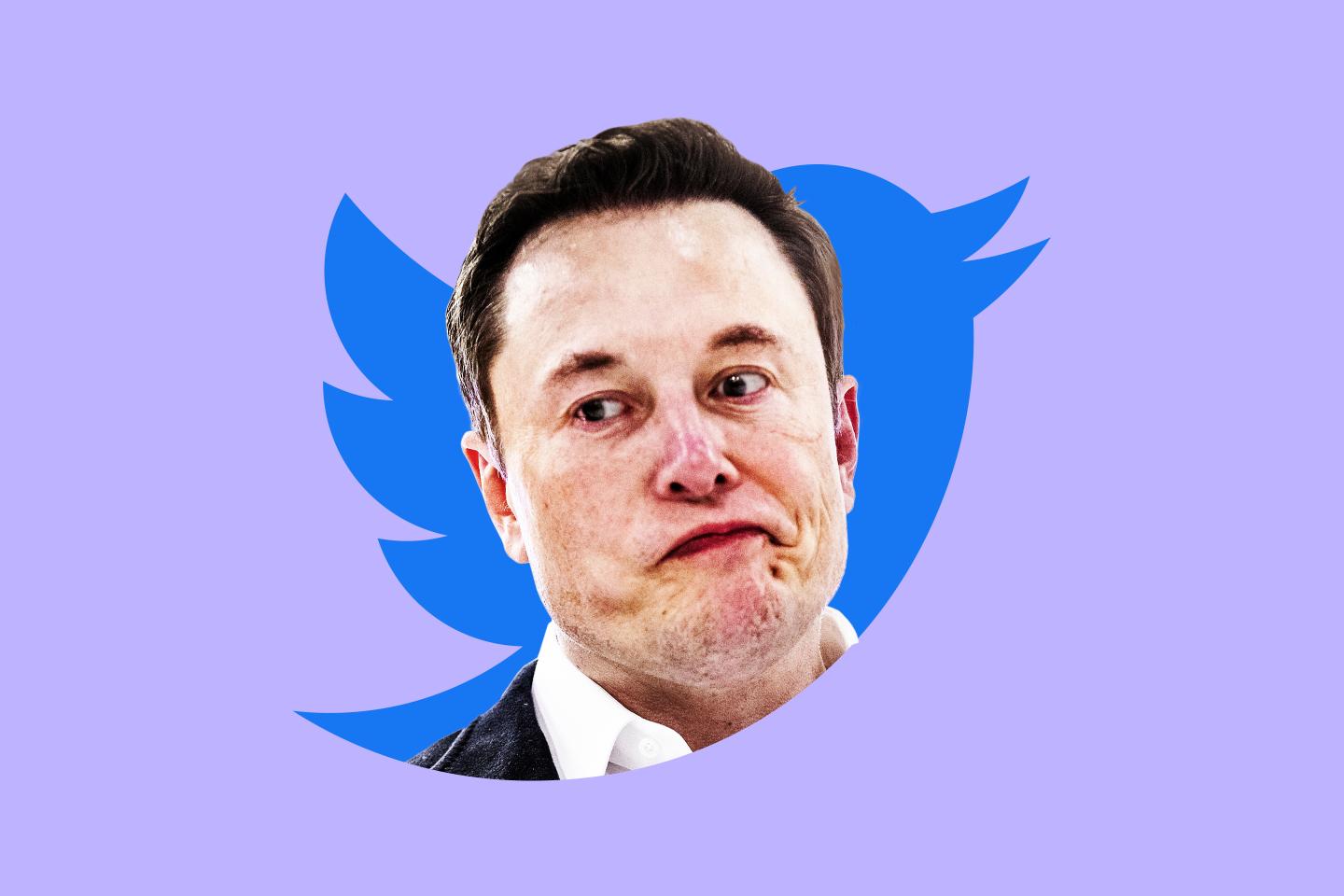 Photo illustration of Elon Musk smirking inside the Twitter bird logo.
