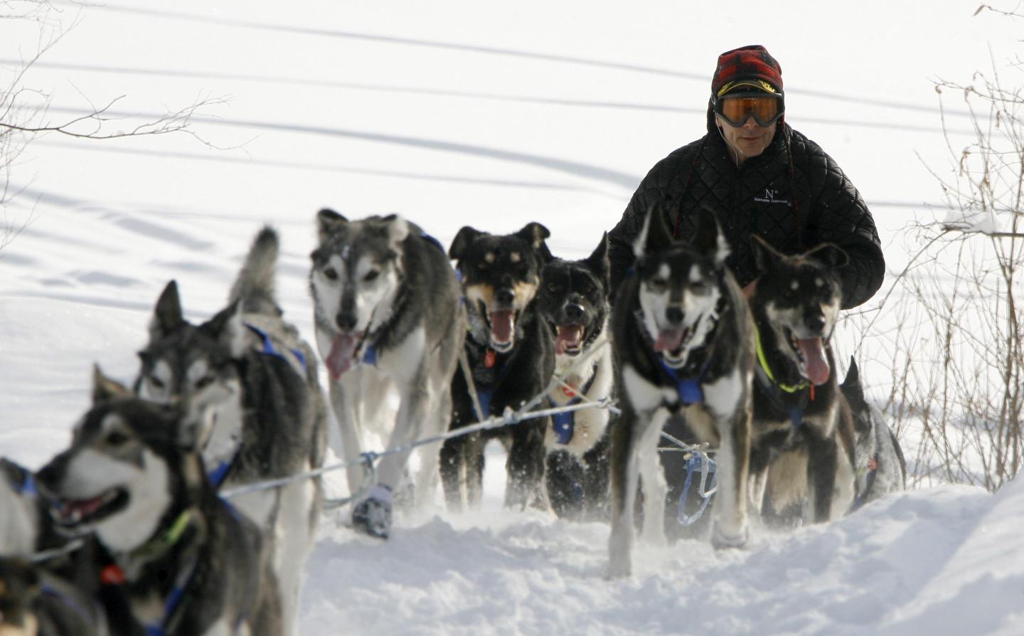 The world’s iconic Iditarod dog sled race has the fewest competitors ever because its $50,000 prize isn’t enough to keep up with inflation