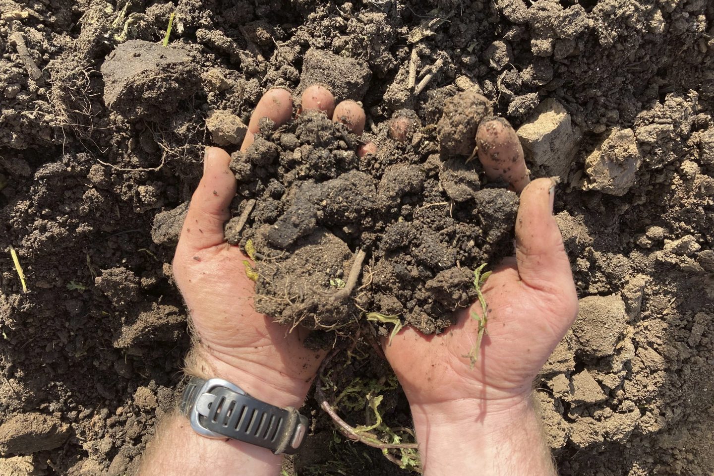 Aaron Nichols holds rich soil on his farm on March 17 in the unincorporated community of Helvetia, Oregon.