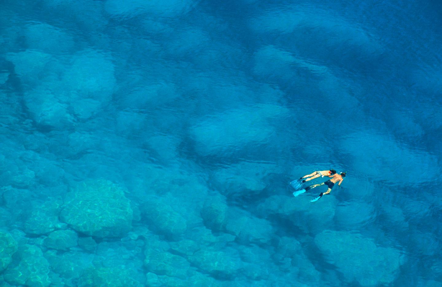 Two people swim in a vast blue ocean.