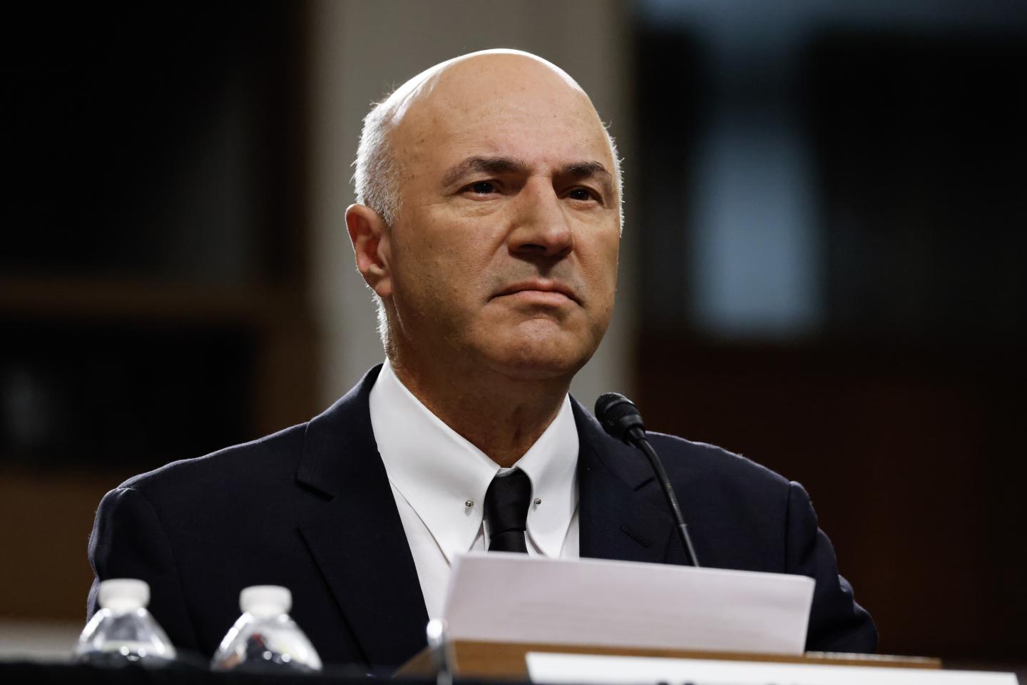 Kevin O'Leary speaks during a senate hearing
