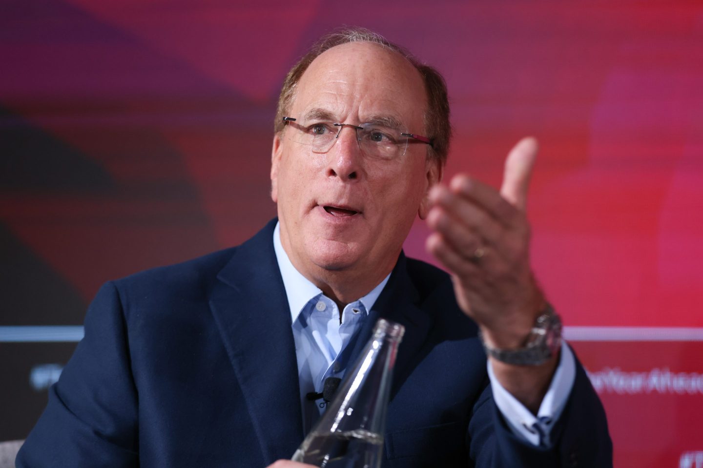 A picture of Larry Fink