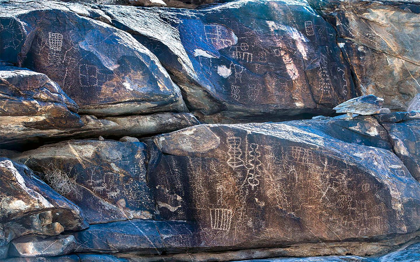 Joe Biden to add 2 new national monuments that protect desert mountains and Joshua trees in the Southwest