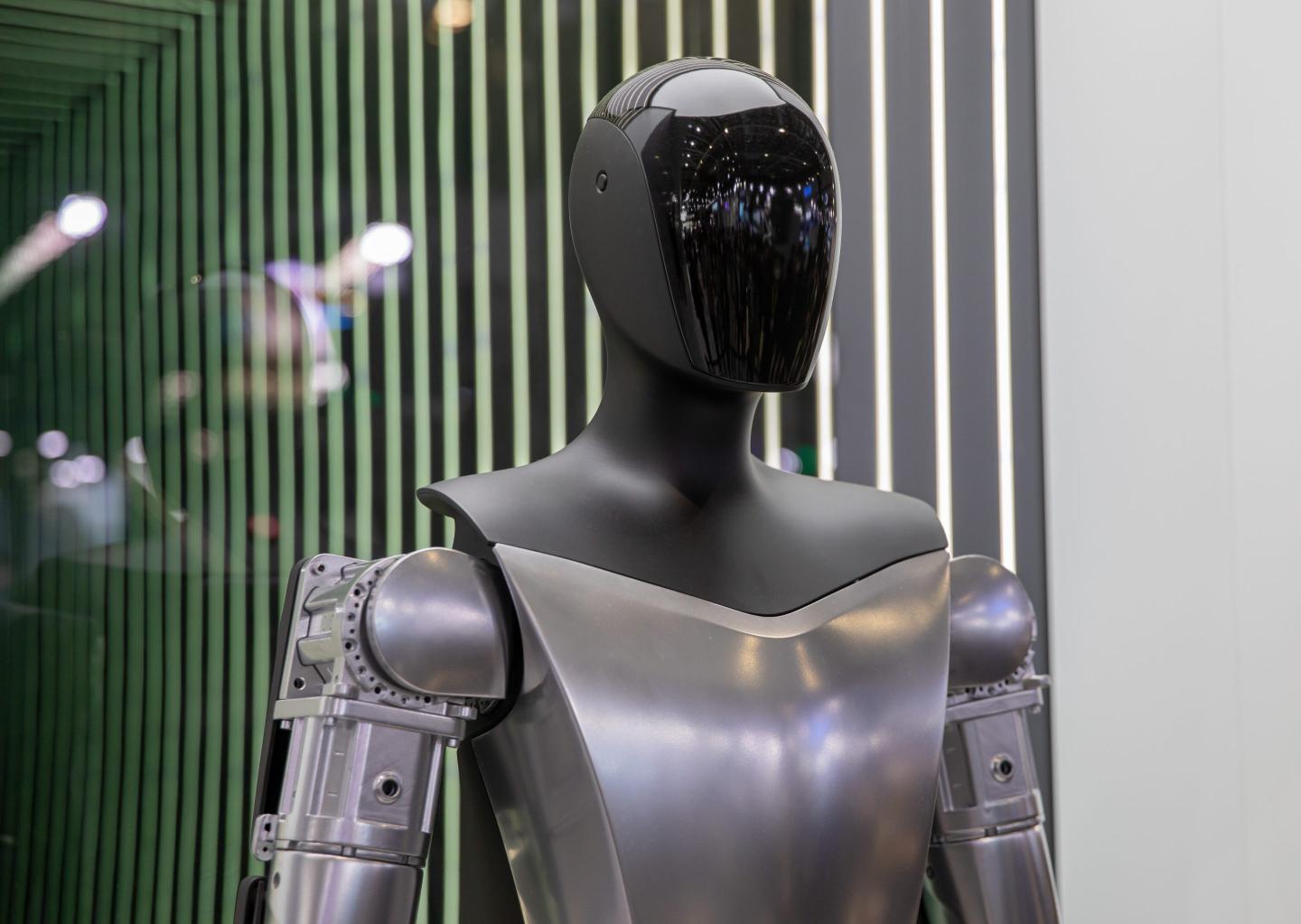 A Tesla Bot