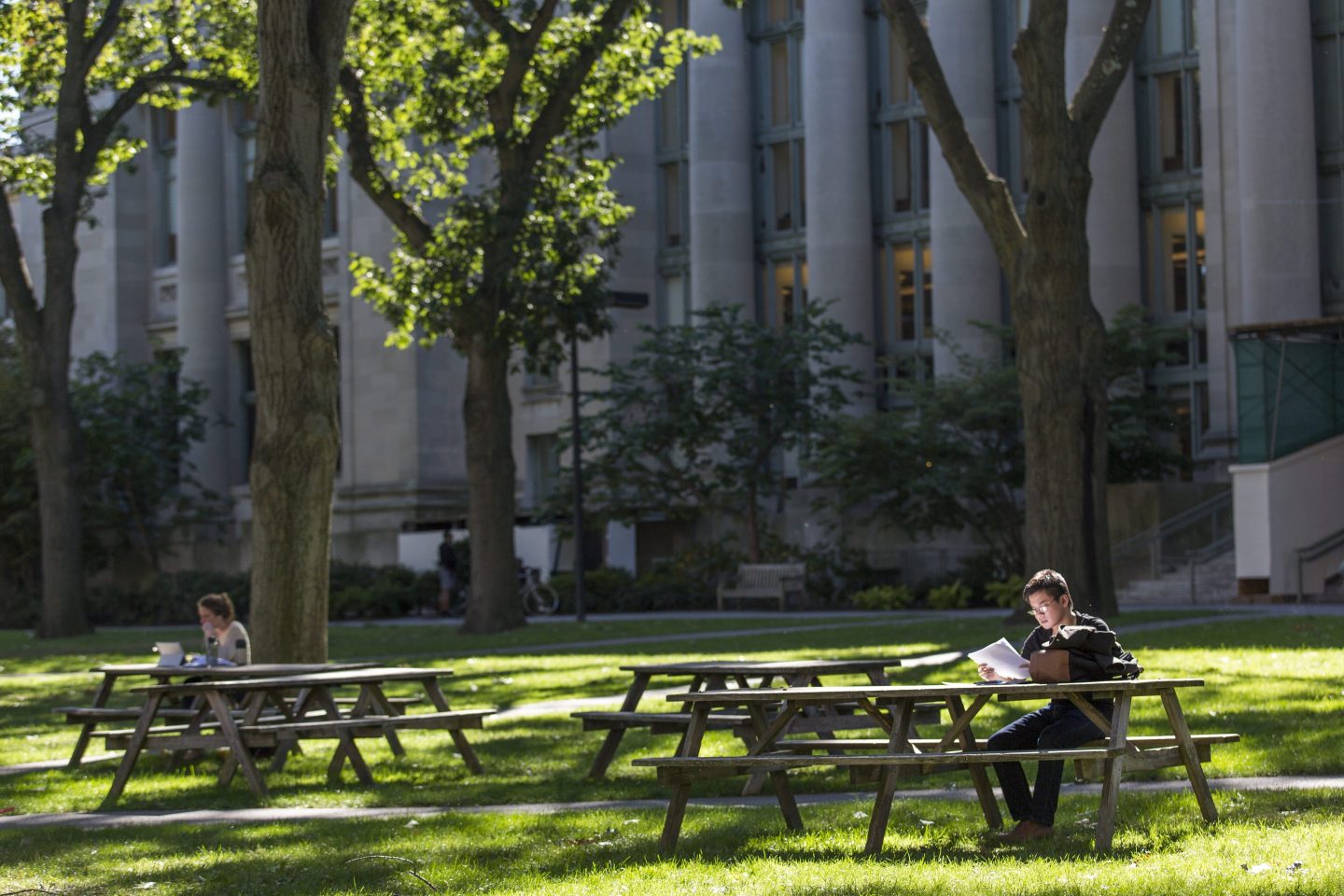 A student studies outside Harvard Law School