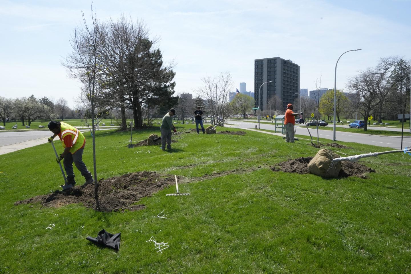 Urban tree planters