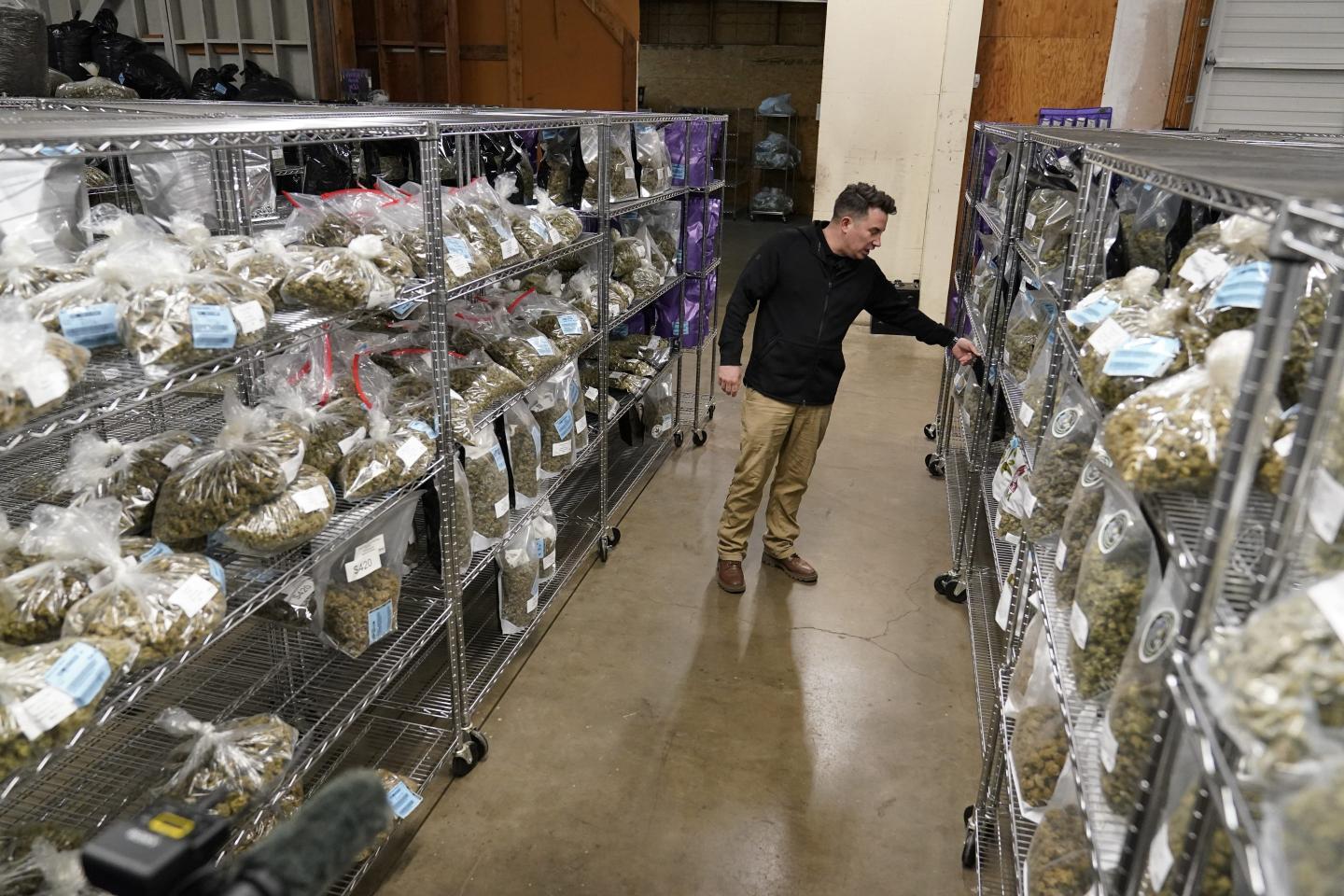 Oregon state officials say that now is the time to ease up on marijuana regulation and get ahead of possible nationwide legalization