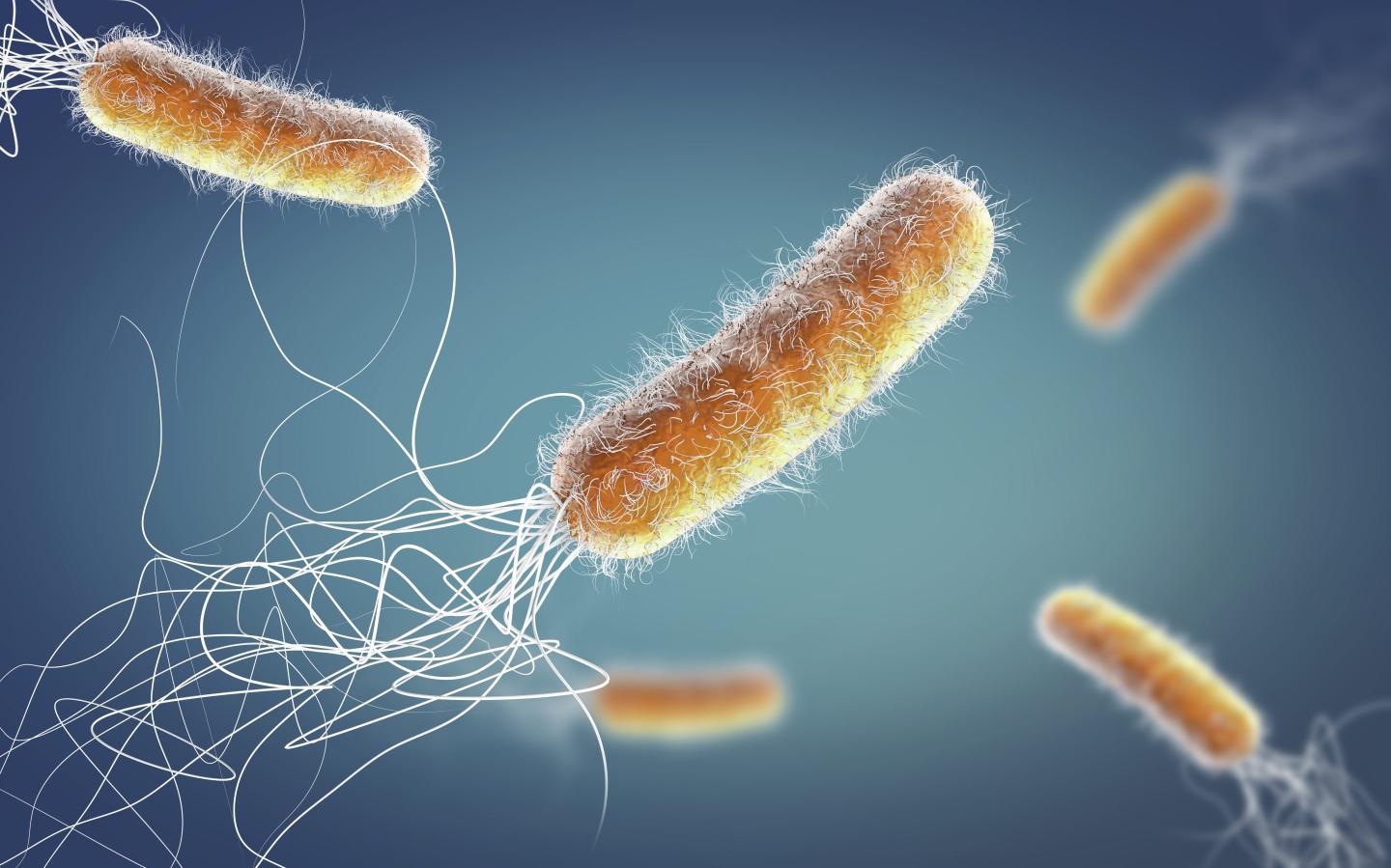 Looming behind antibiotic resistance is another huge threat—antibiotic tolerance