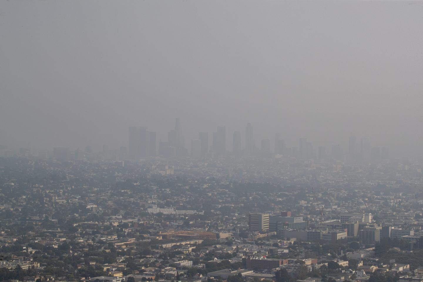 The higher the level of air pollution, the greater you’re at risk of dementia, Harvard researchers find