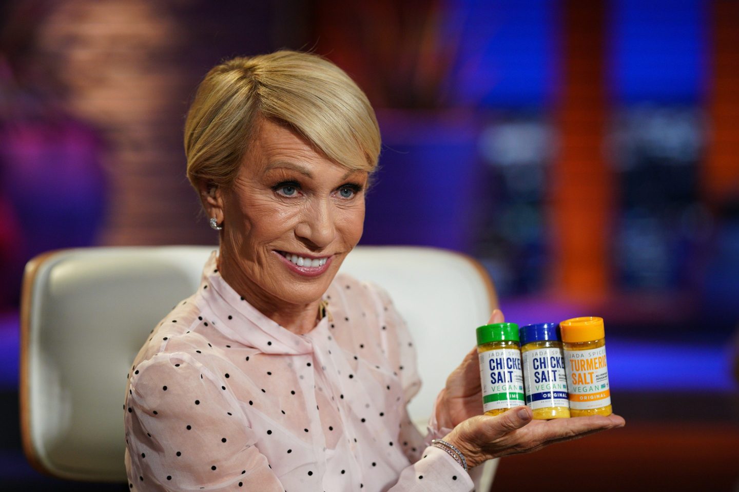 Barbara Corcoran on Shark Tank