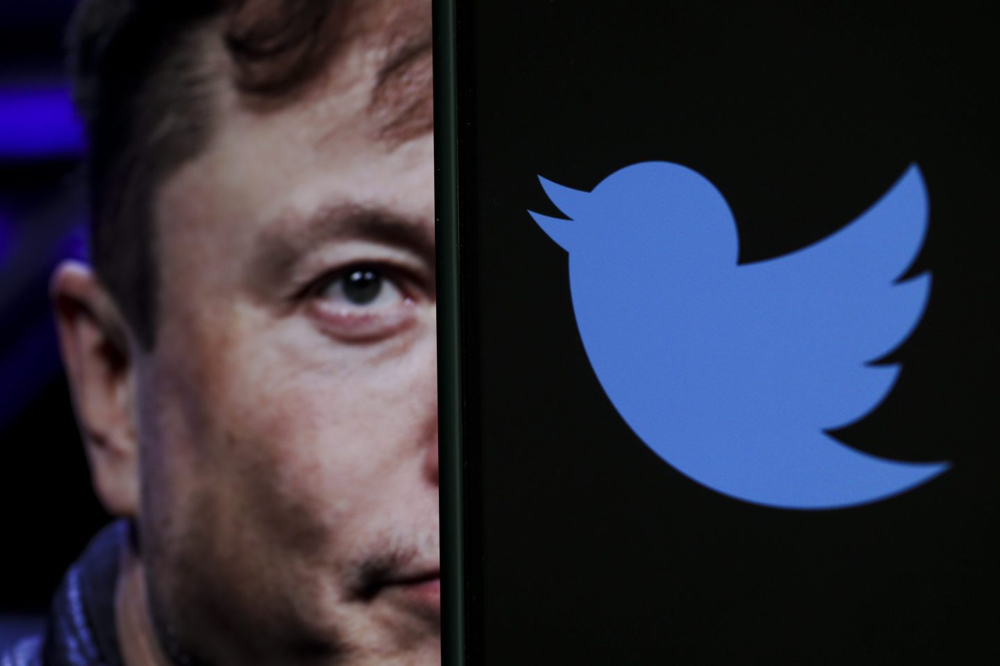 Photo illustration showing Elon Musk’s face and the Twitter logo.